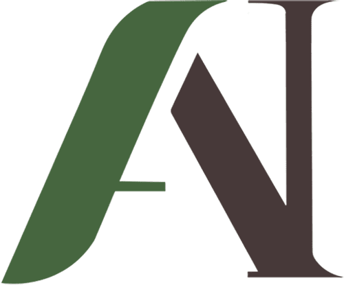 AssuredNext Insurance - Logo Icon